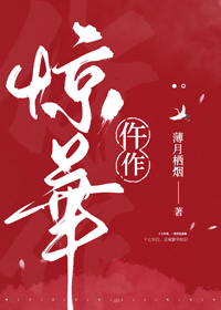 仵作惊华小说全文免费阅读