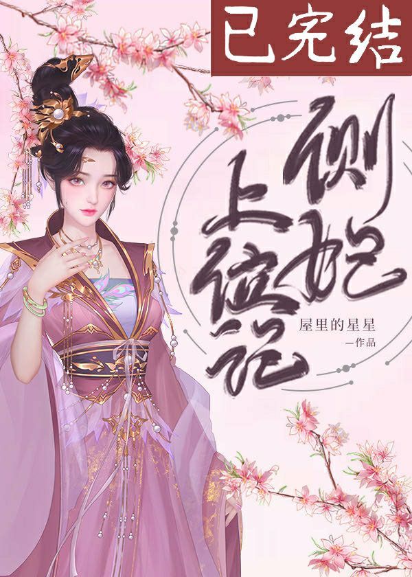 侧妃上位记 小说