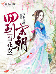 回到宋朝当个官 小说