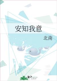 安知我意 北南 百度网盘