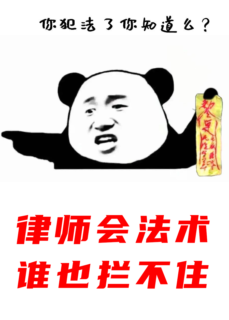 律师会法术谁也拦不住小说