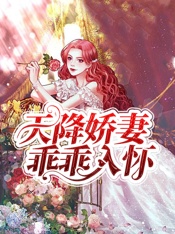 天降娇妻总裁请接招全文免费阅读下载