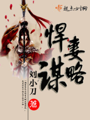 悍妻谋略 小说
