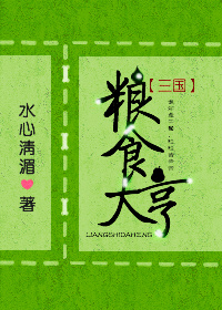 粮食大亨三国无防盗
