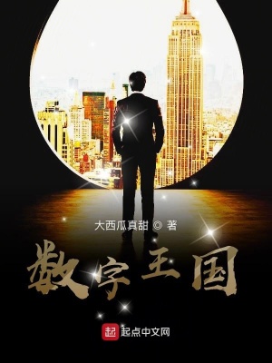 数字王国图片