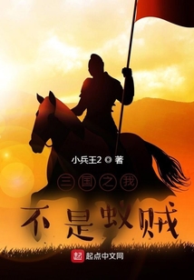 三国之我不是蚁贼起点