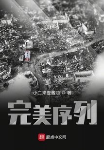 完美序列 小说
