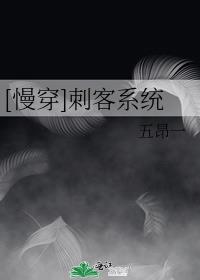 慢穿刺客系统明光免费阅读