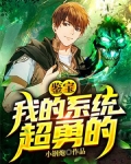 鉴宝:我的系统超勇的