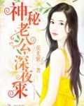 神秘老公,深夜来