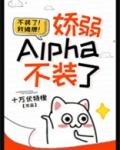 娇弱Alpha不装了[女A男O]