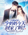 闪婚成宠：少奶奶今天回家了吗？