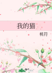 我的猫