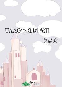 uaag空难调查组免费阅读