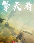 擎天柱小说