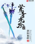 紫青龙吟记
