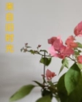 来自时光深处的你