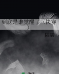 到底是谁觉醒了(快穿)