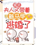 盛总，夫人又带着新马甲逃婚了！