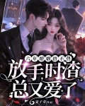 六年婚姻的小说