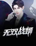 无双战婿