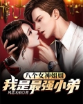 八个女神姐姐:我是最强小弟