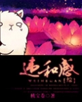 违和感(综同人)