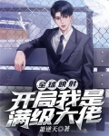 全球映射：开局我是满级大佬