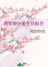 将军府小妾生存报告
