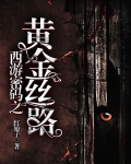 西游密码之黄金丝路小说