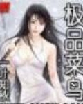 极品菜鸟