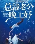 蜜宠暖婚:总裁老公晚上好