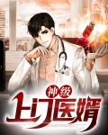 神级上门医婿