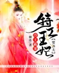 冷王霸宠:特工王妃要休夫