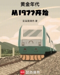 黄金年代从1977开始TXT下载