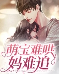 萌宝难哄妈难追