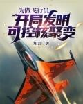 为做飞行员,开局发明可控核聚变