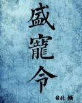 盛宠令（医手遮天）