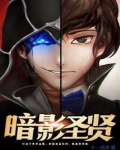 暗影圣贤