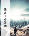 缘定天命娇妻