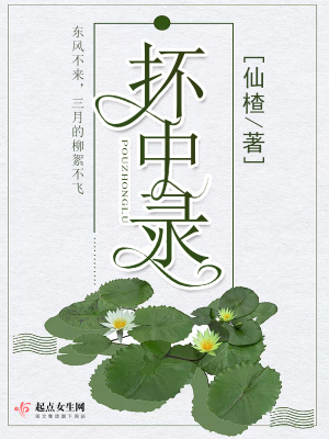 抔中录