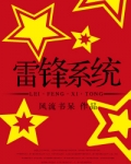 雷锋系统