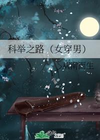 科举之路(女穿男)